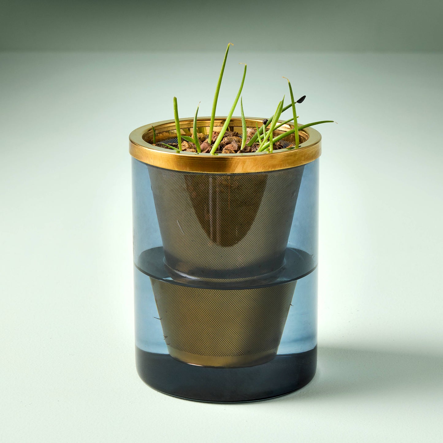 Limited Edition Agave Grow Kit