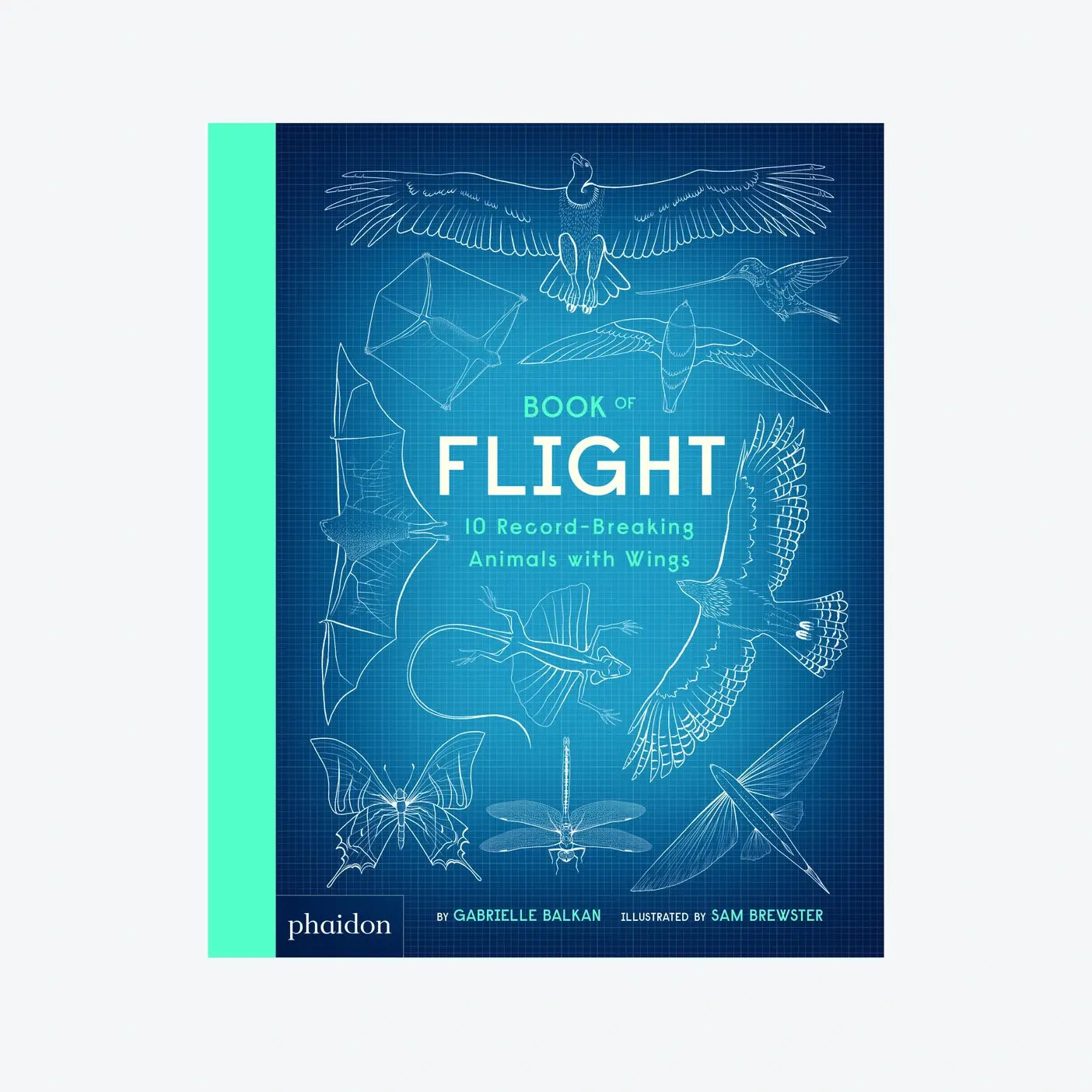 Book Of Flight: 10 Record-Breaking Animals With Wings