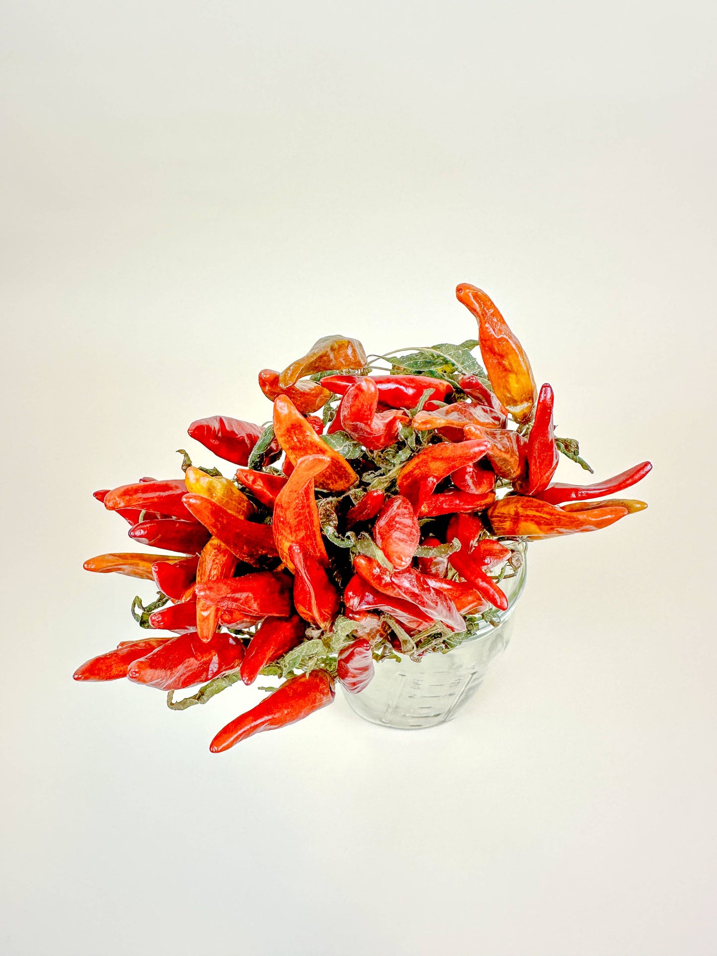 Chili Peppers on Stem – Naturally Air-Dried Peppers