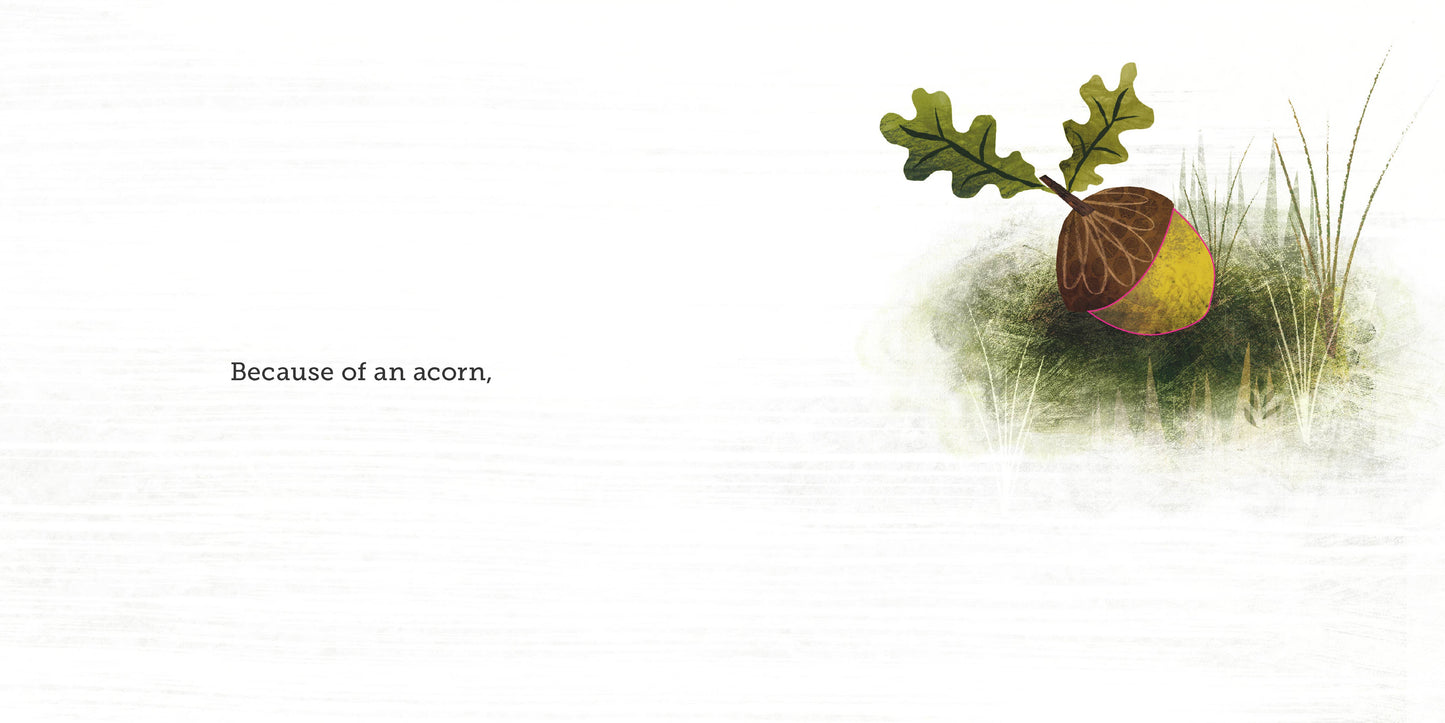 Because of an Acorn
