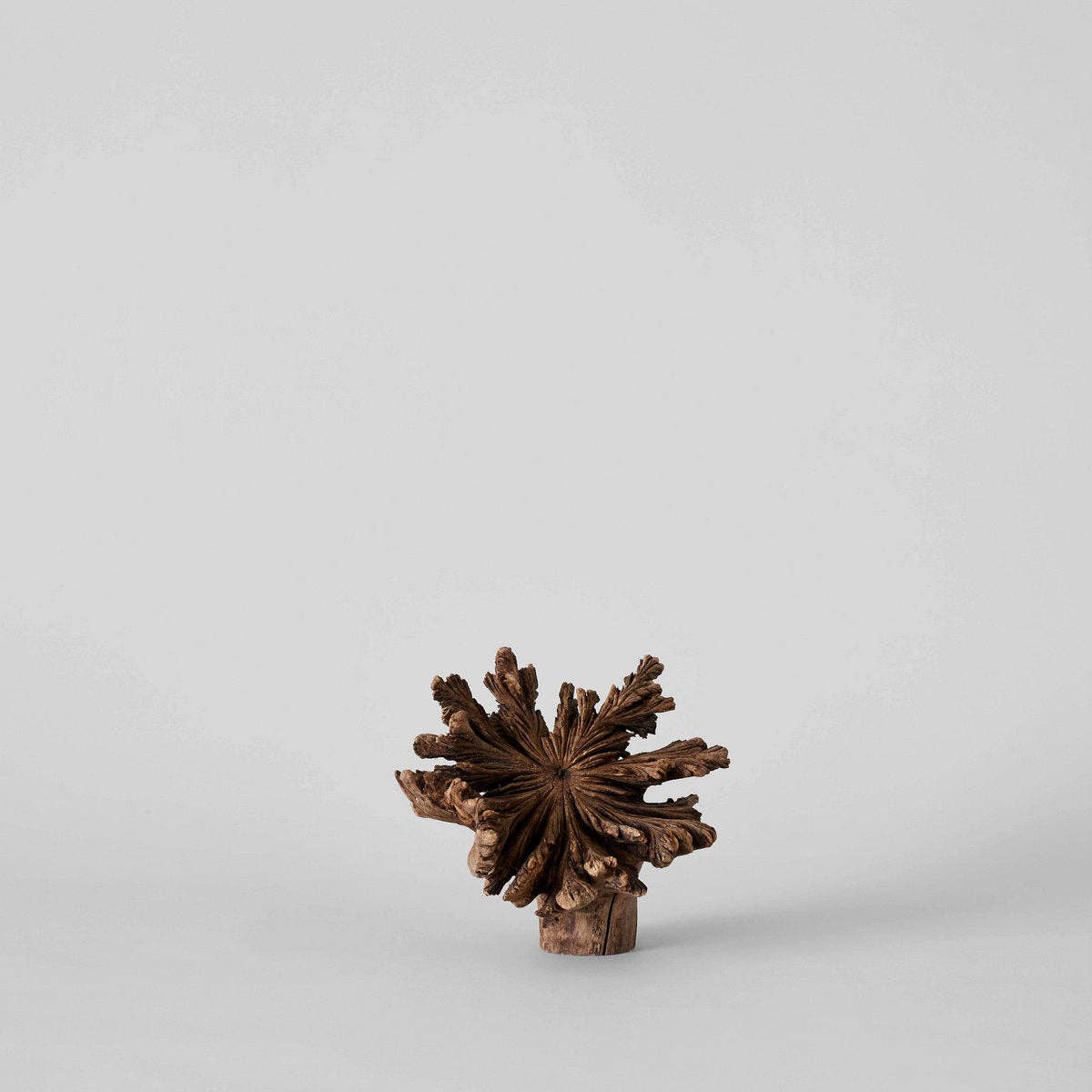 Rare Wood Flower