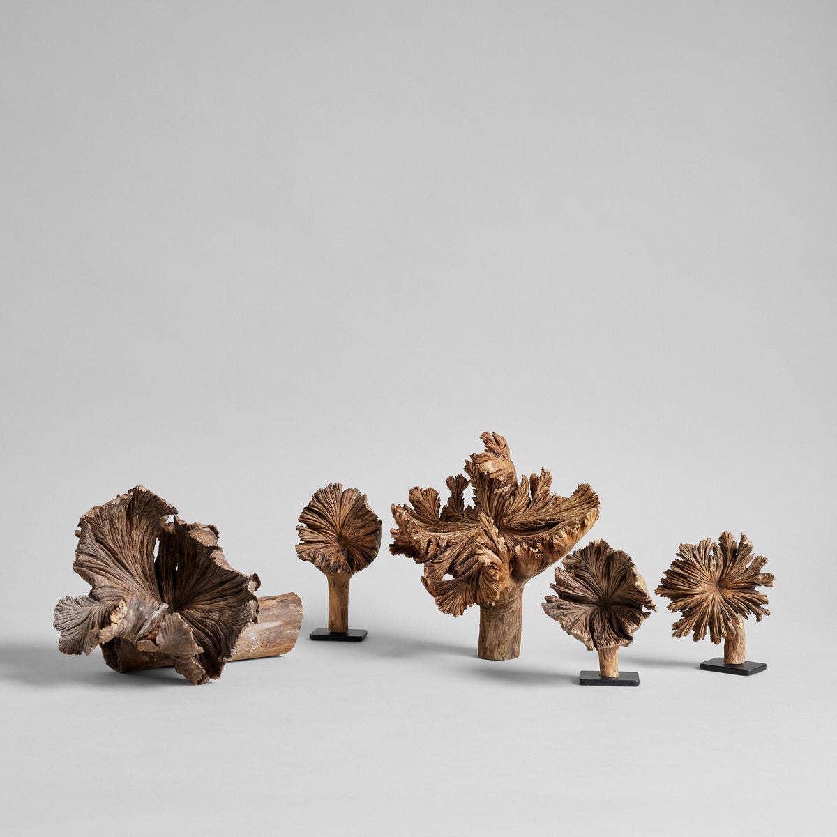 Rare Wood Flower