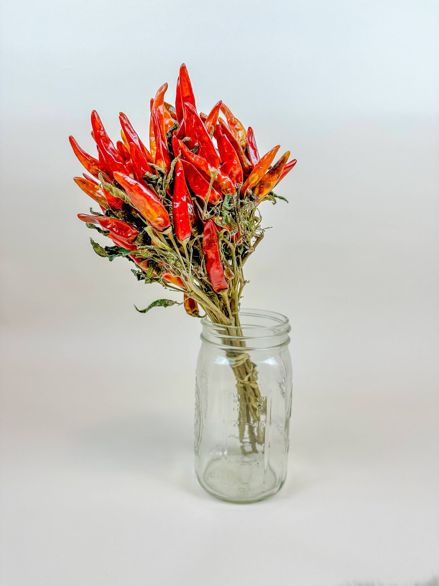 Chili Peppers on Stem – Naturally Air-Dried Peppers