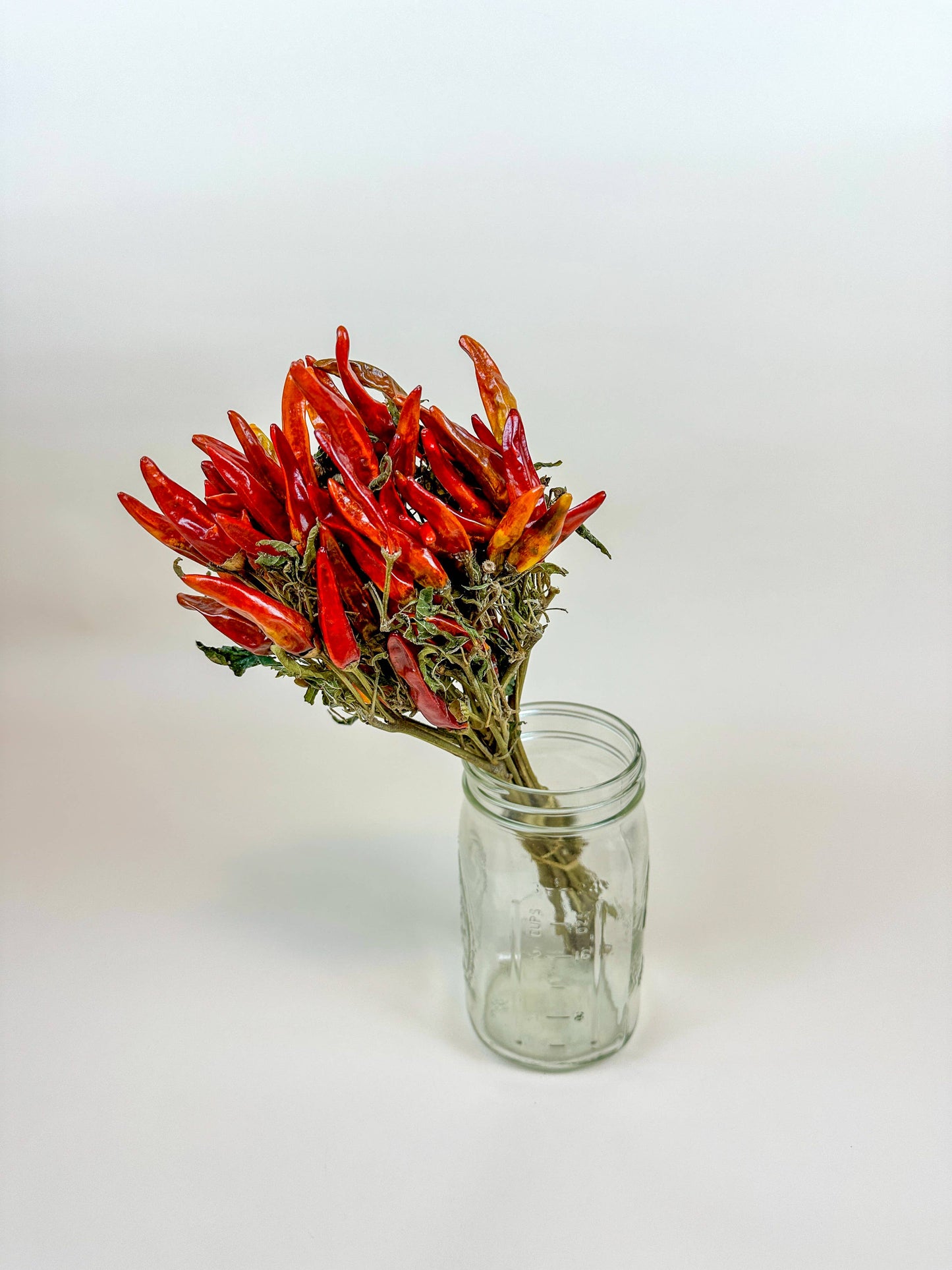 Chili Peppers on Stem – Naturally Air-Dried Peppers