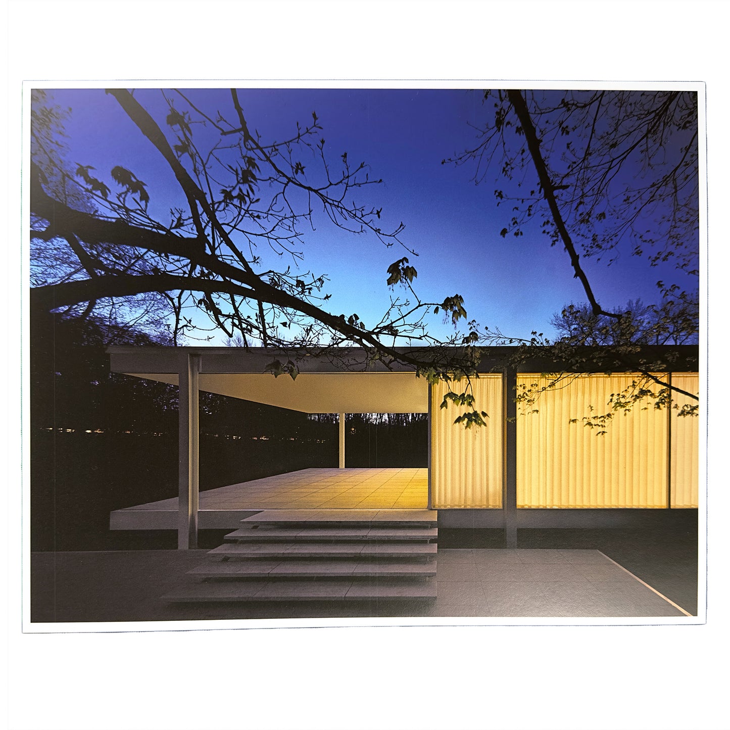 Edith Farnsworth House Upper Terrace Photo 8x10