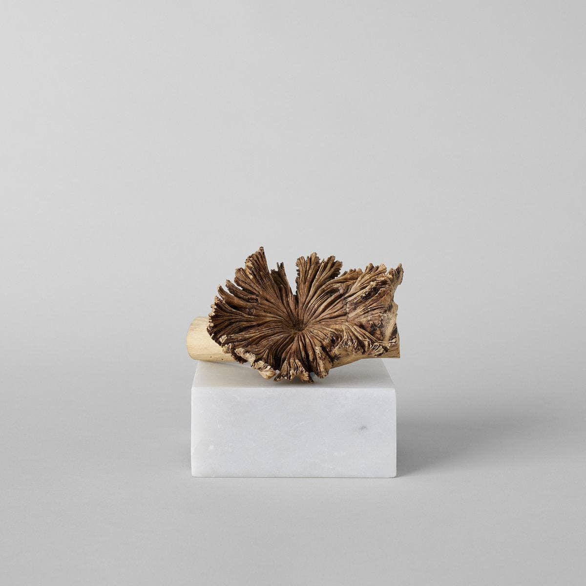 Rare Wood Flower