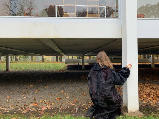 Equine in Feature (Below)_ By Nora Wendl