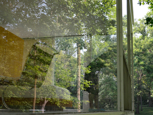 I LISTENED #5_By Nora Wendl