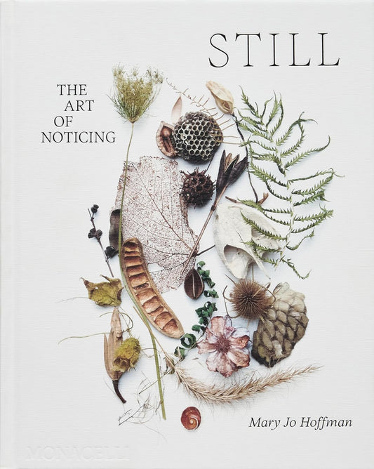 Still: The Art of Noticing by Mary Jo Hoffman