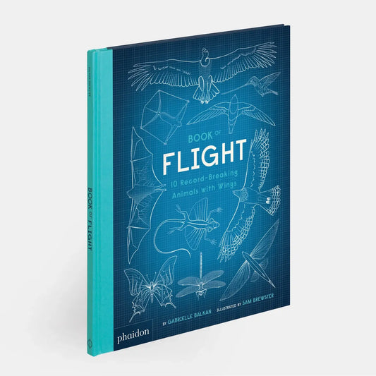 Book Of Flight: 10 Record-Breaking Animals With Wings