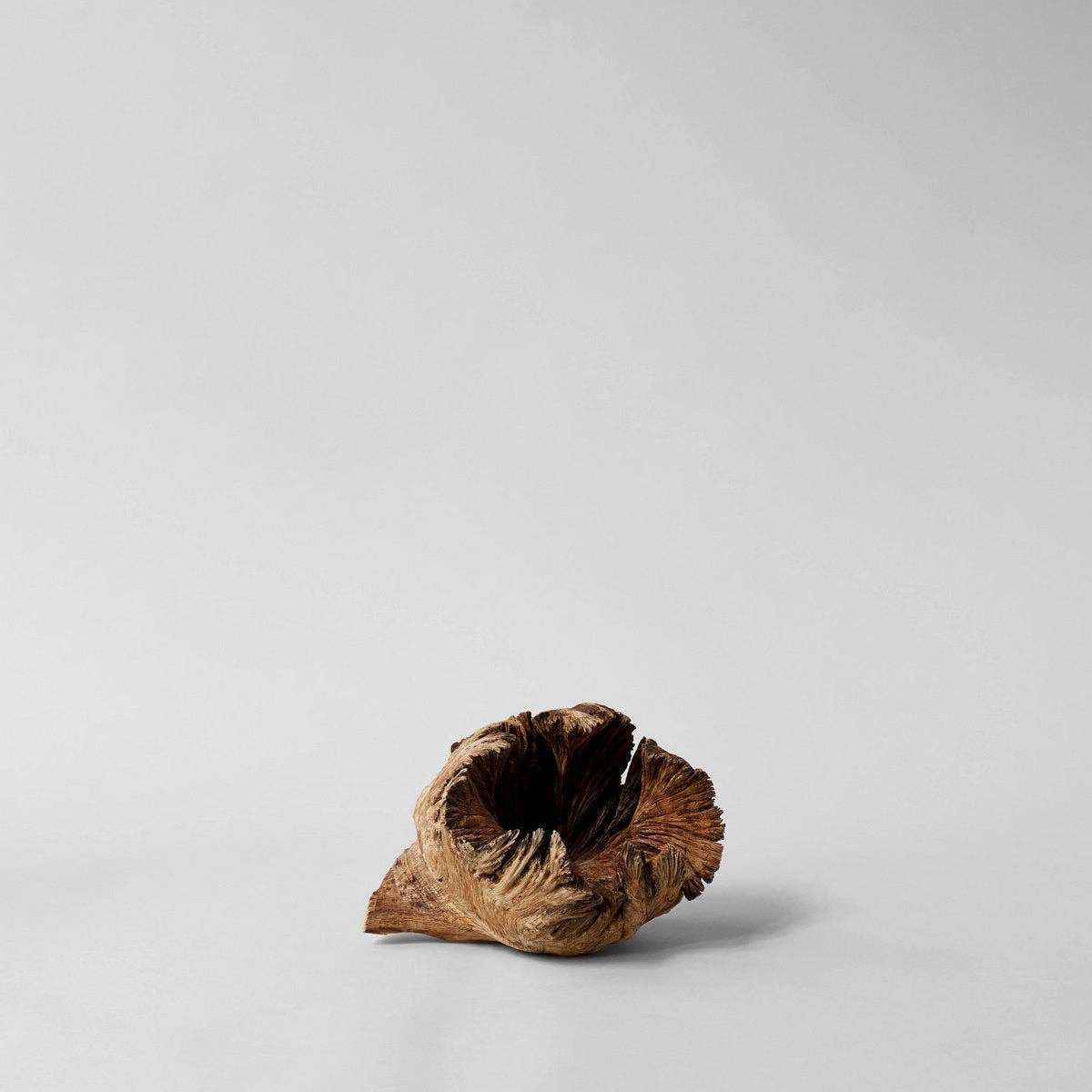 Rare Wood Flower