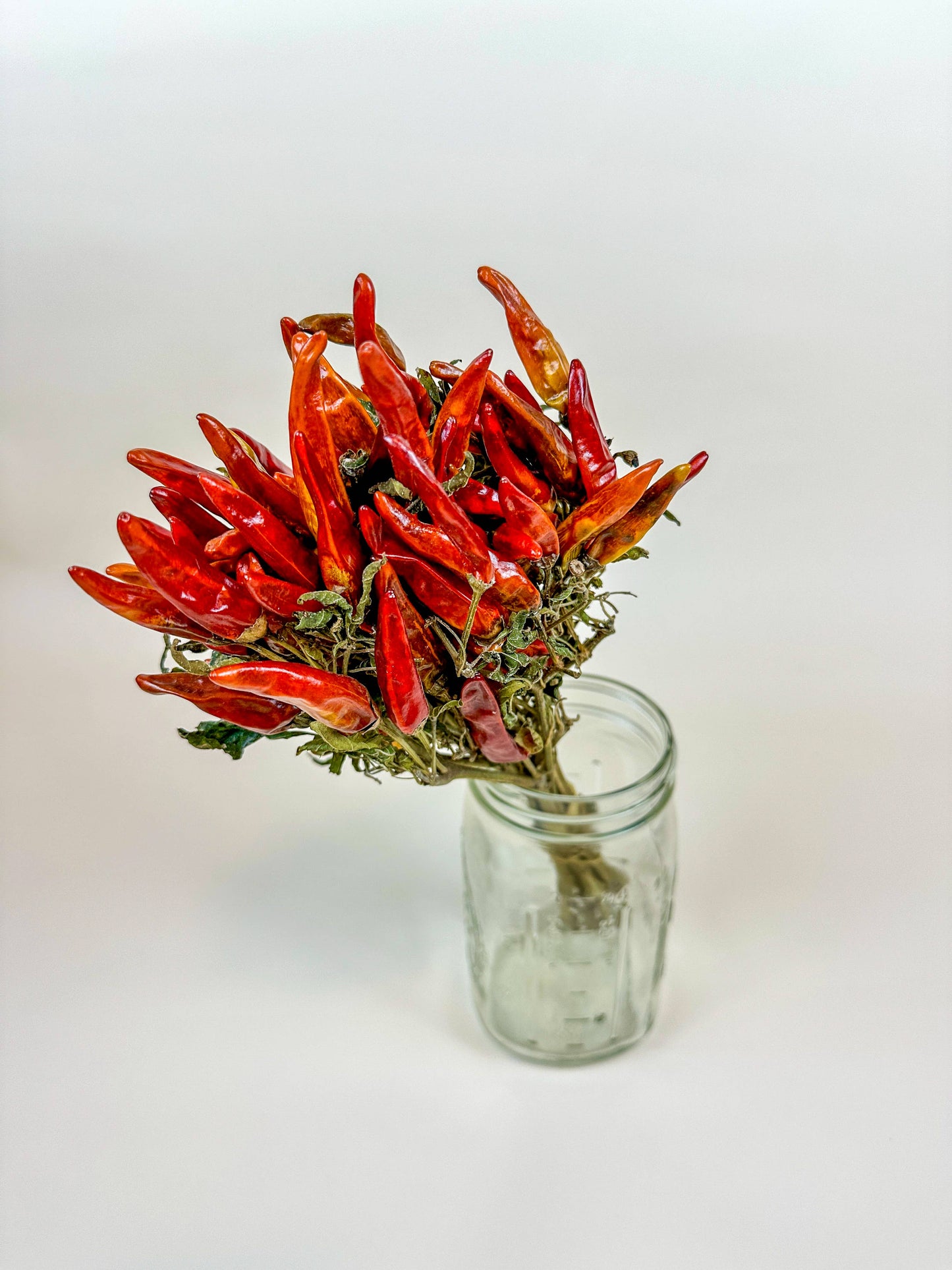 Chili Peppers on Stem – Naturally Air-Dried Peppers
