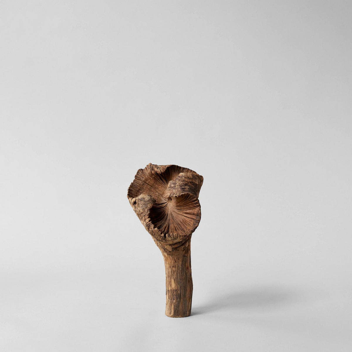 Rare Wood Flower
