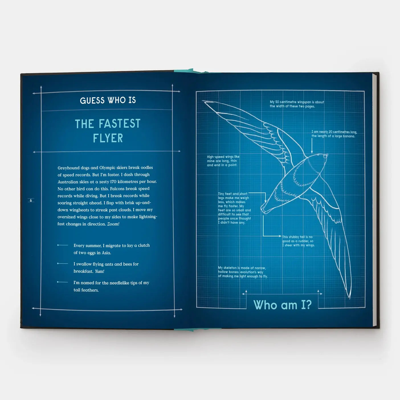 Book Of Flight: 10 Record-Breaking Animals With Wings