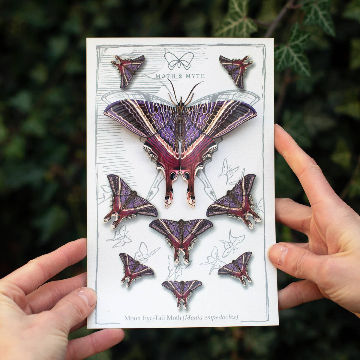 'Moon Eyetail' Moth Set