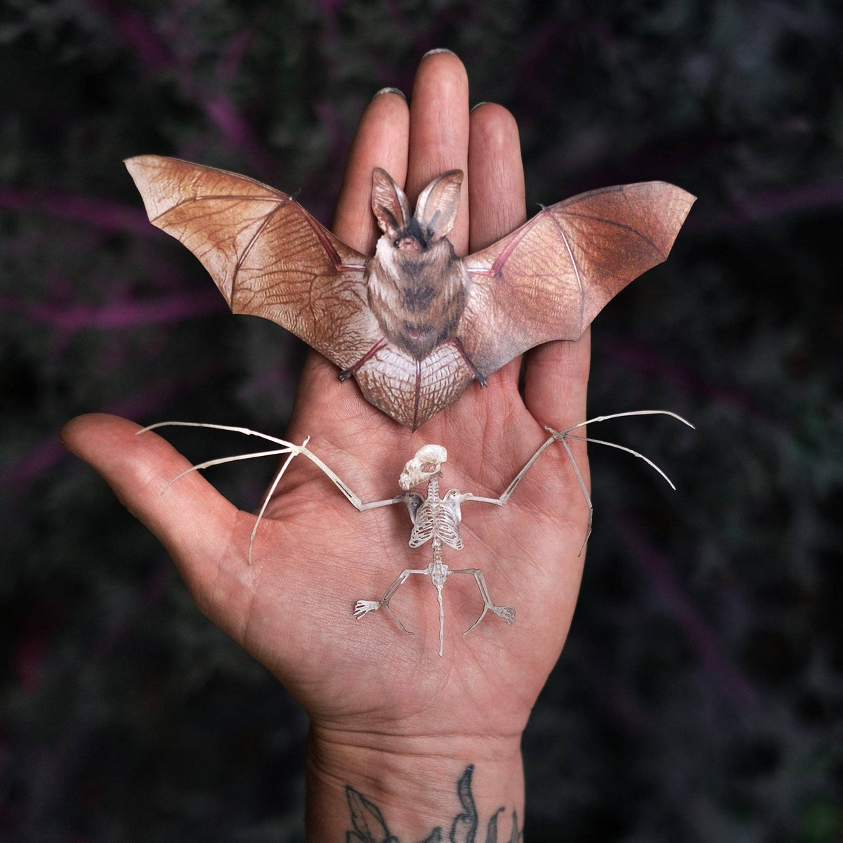Halloween Bat & Bat Sketelon Paper Set