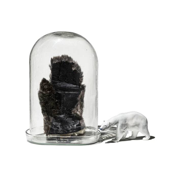 DISPLAY GLASS DOME