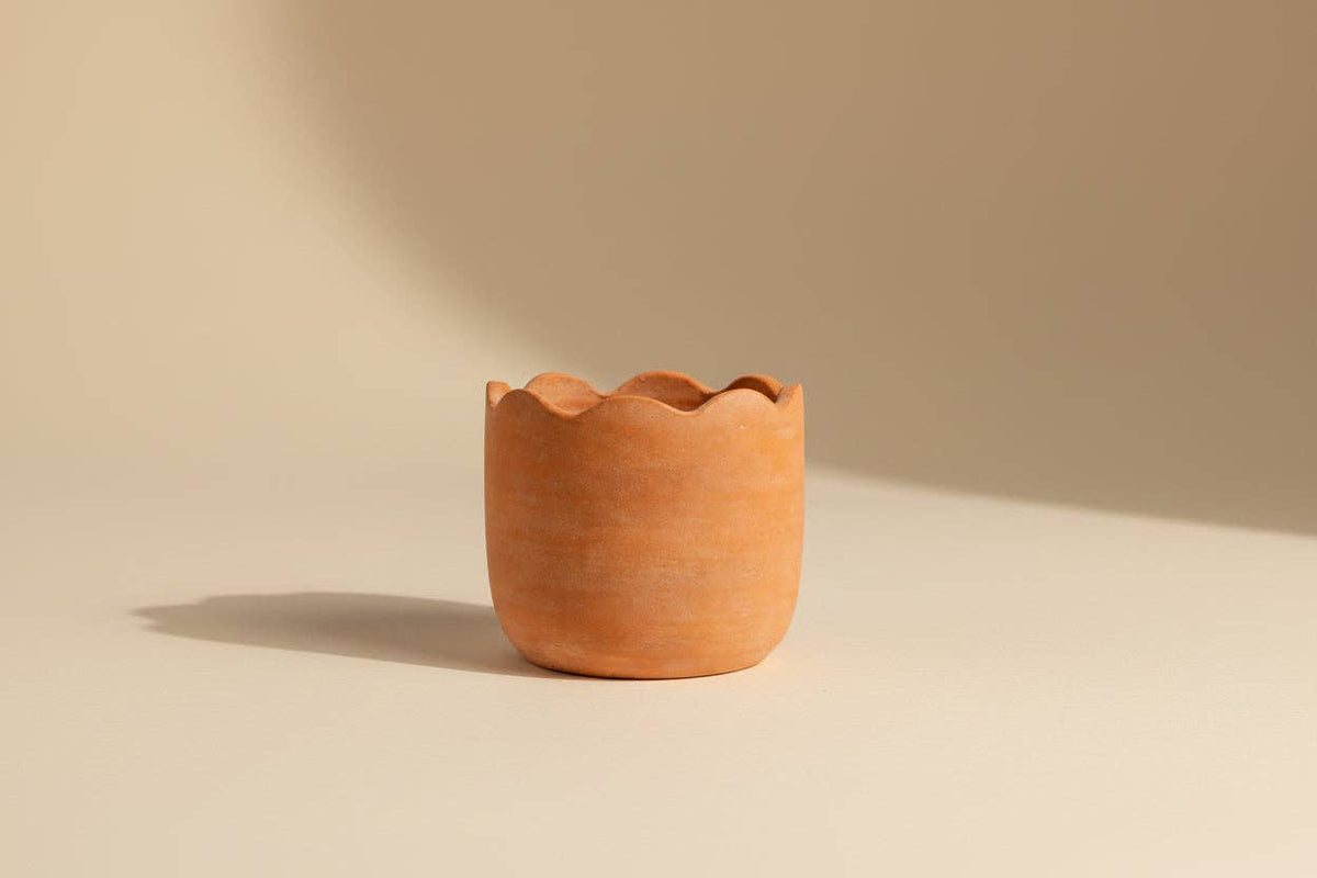 Wavy Terracotta Planters by MESO