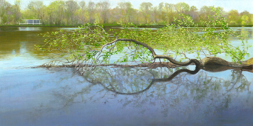 Farnsworth House On The Fox Print By Joel Sheesley