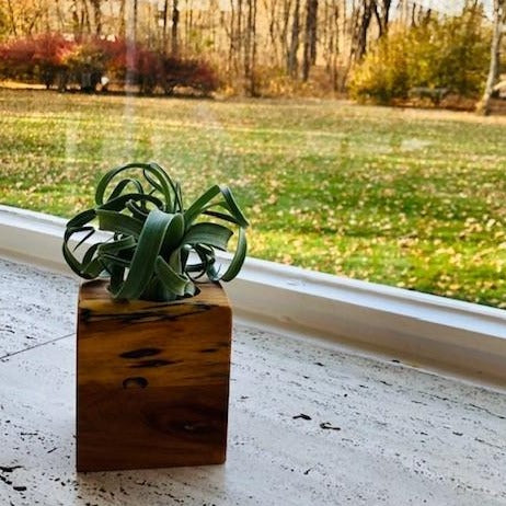 Air Root Planter by Spring Run Design